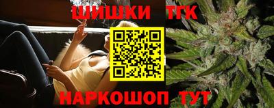сатива Ростов Великий
