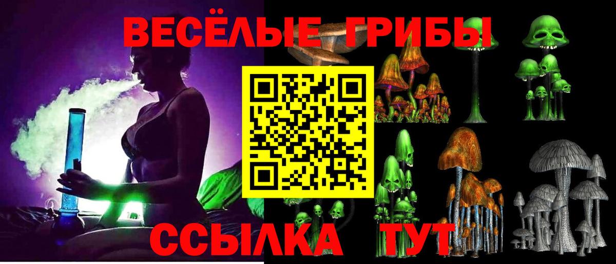Псилоцибиновые грибы прущие грибы  Вход с VPN  Бахчисарай 